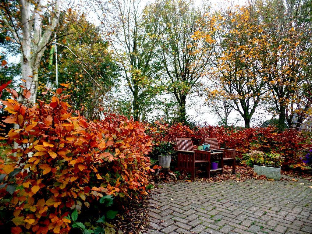 Bed En Breakfast De Pauw Wieringerwaard Экстерьер фото