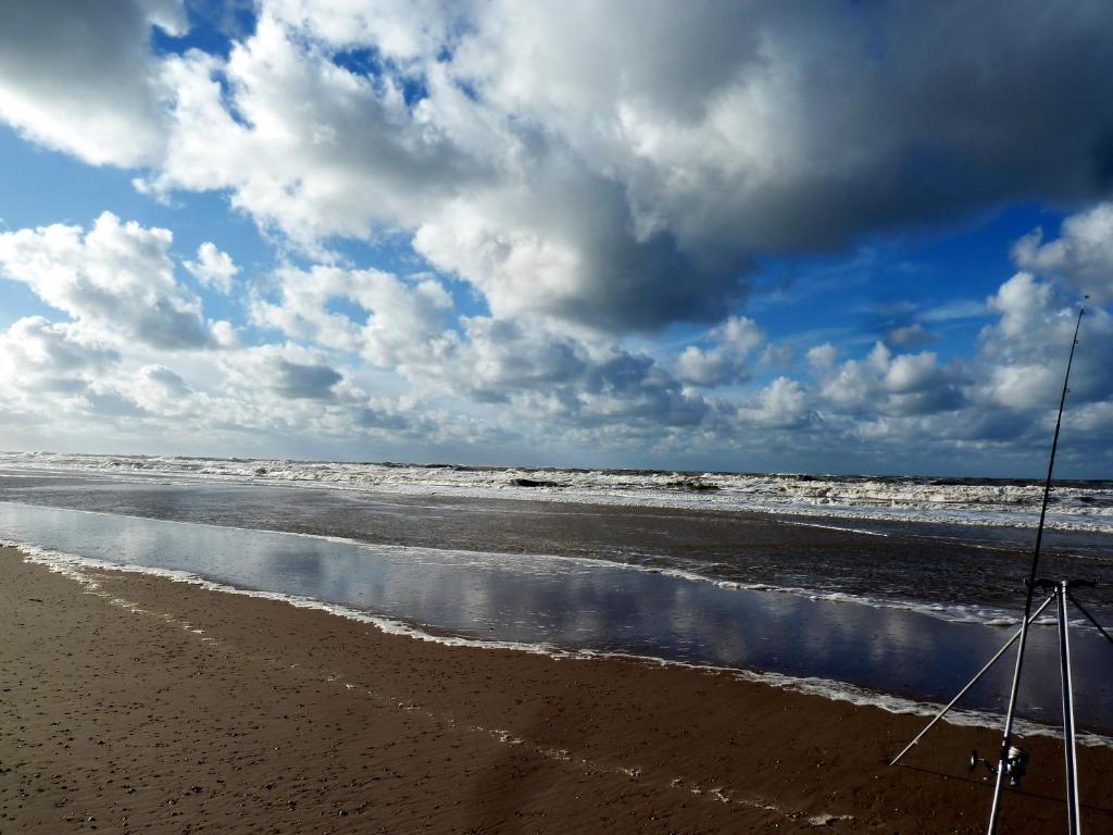 Bed En Breakfast De Pauw Wieringerwaard Экстерьер фото