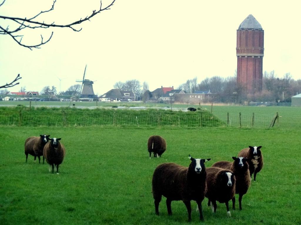 Bed En Breakfast De Pauw Wieringerwaard Номер фото