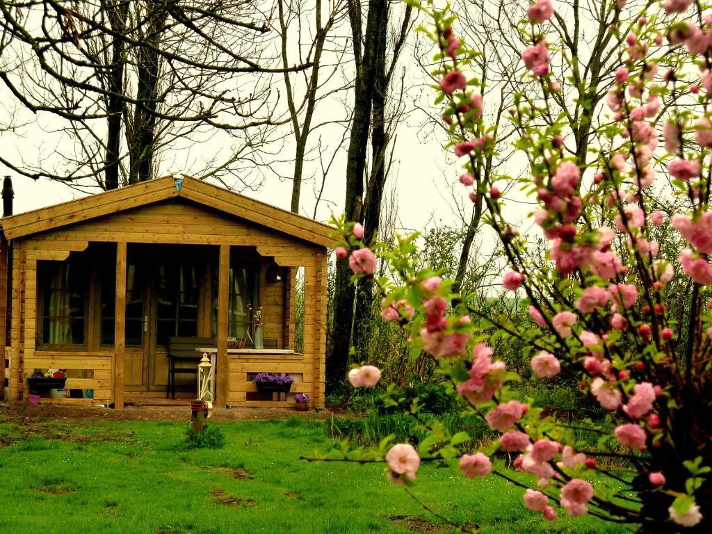 Bed En Breakfast De Pauw Wieringerwaard Номер фото